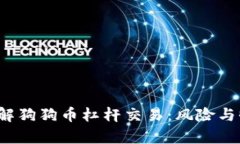  深入了解狗狗币杠杆交易