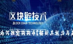 马斯克为何独宠狗狗币？