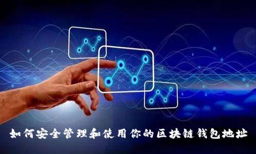 如何安全管理和使用你的区块链钱包地址
