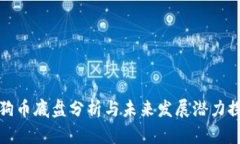 狗狗币底盘分析与未来发