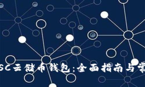: 如何下载SC云储币钱包：全面指南与常见问题解答