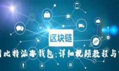如何使用比特派冷钱包：