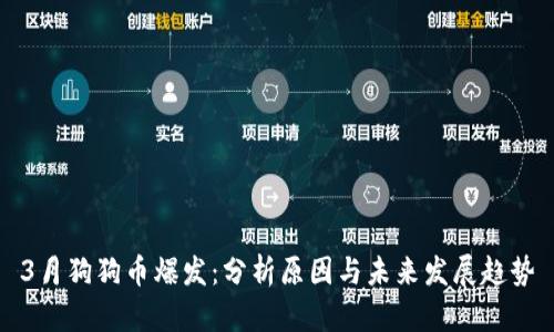 3月狗狗币爆发：分析原因与未来发展趋势