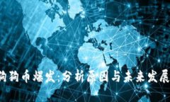 3月狗狗币爆发：分析原因