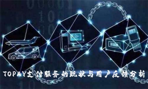 TOPAY支付服务的现状与用户反馈分析