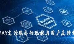 TOPAY支付服务的现状与用户