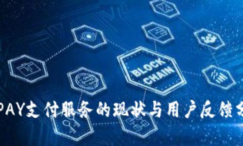 TOPAY支付服务的现状与用户反馈分析