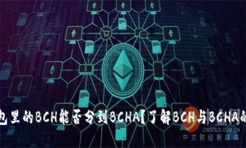 在钱包里的BCH能否分到BCHA？了解BCH与BCHA的关系