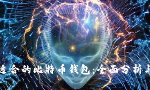 如何选择适合的比特币钱包：全面分析与使用指南