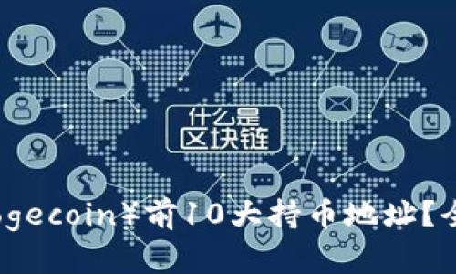 如何选择狗狗币（Dogecoin）前10大持币地址？全面分析与投资指南
