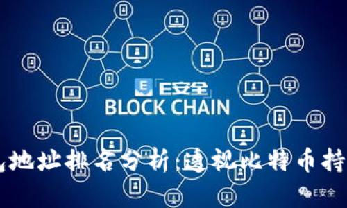 2023年BTC钱包地址排名分析：透视比特币持有者的财富分布