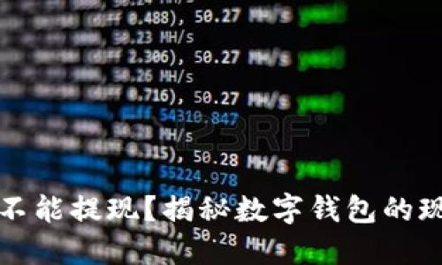 数字钱包不能提现？揭秘数字钱包的现状与未来