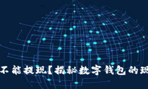 数字钱包不能提现？揭秘数字钱包的现状与未来