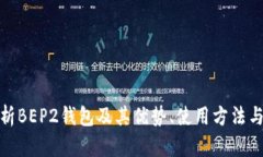 全面解析BEP2钱包及其优势