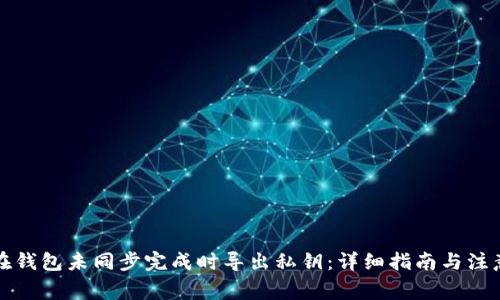 如何在钱包未同步完成时导出私钥：详细指南与注意事项