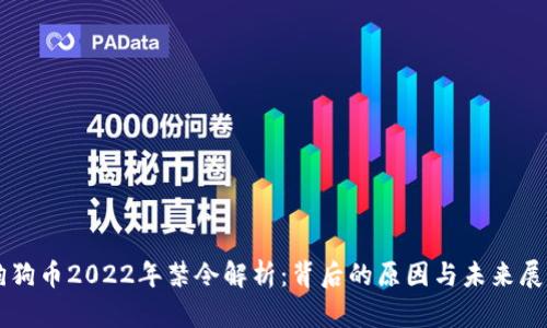 狗狗币2022年禁令解析：背后的原因与未来展望