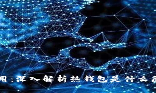 热钱包的定义与应用：深入解析热钱包是什么原因及其安全性问题