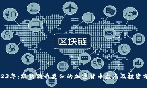 2023年：跟狗狗币类似的加密货币盘点及投资分析