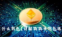 狗狗币提现到什么钱包？