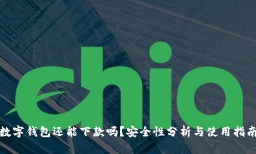 数字钱包还能下款吗？安全性分析与使用指南