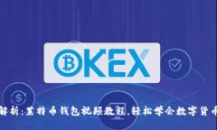 全面解析：莱特币钱包视