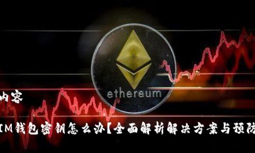 文档内容 

忘记IM钱包密钥怎么办？全面解析解决方案与预防措施
