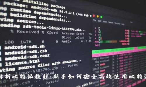 全面解析比特派教程：新手如何安全高效使用比特派钱包
