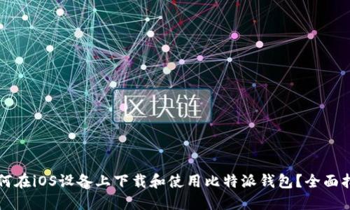 如何在iOS设备上下载和使用比特派钱包？全面指南