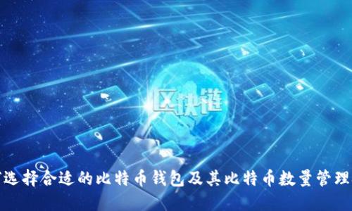 如何选择合适的比特币钱包及其比特币数量管理技巧