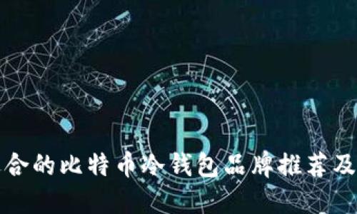 最适合的比特币冷钱包品牌推荐及指南