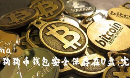  Schema 
如何将狗狗币钱包安全保存在U盘：完整指南