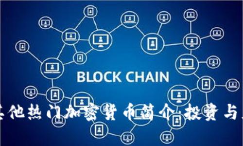 狗狗币及其他热门加密货币简介：投资与应用全解析