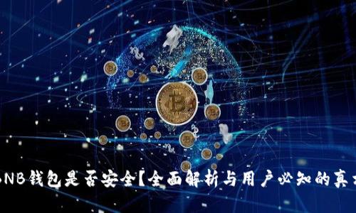 BNB钱包是否安全？全面解析与用户必知的真相