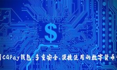 全面解析CGPay钱包：多重安