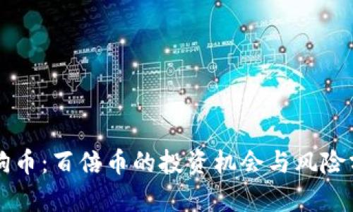 狗狗币：百倍币的投资机会与风险分析
