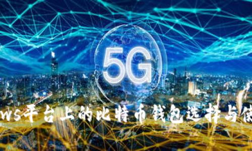 :Windows平台上的比特币钱包选择与使用指南