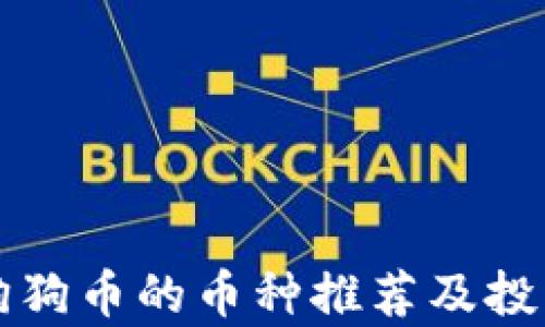 
类似狗狗币的币种推荐及投资分析