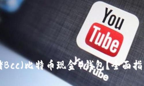 如何安全存储Bcc（比特币现金）钱包？全面指南与最佳实践