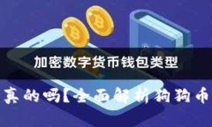火币买的狗狗币是真的吗