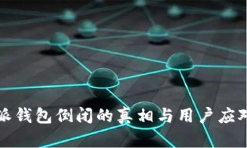 比特派钱包倒闭的真相与用户应对策略