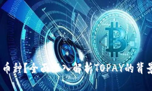TOPAY是什么币种？全面深入解析TOPAY的背景、技术与应用