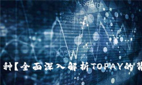 TOPAY是什么币种？全面深入解析TOPAY的背景、技术与应用
