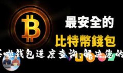 даоtzi买啦钱包进度查询：解决您的疑问与建议