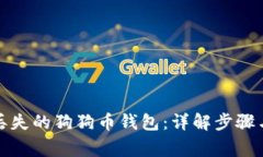 如何找回丢失的狗狗币钱包：详解步骤与注意事