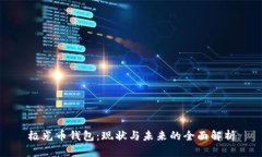 极光币钱包：现状与未来的全面解析