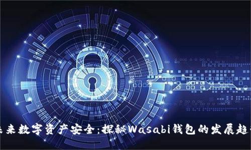 未来数字资产安全：探秘Wasabi钱包的发展趋势