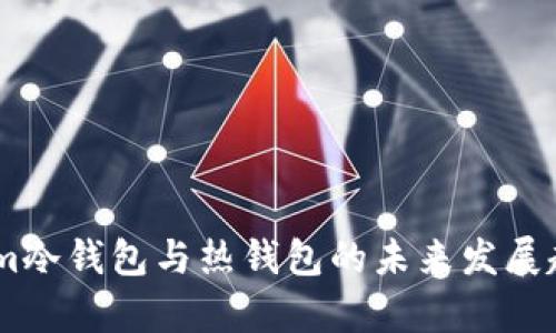 Token.im冷钱包与热钱包的未来发展趋势分析