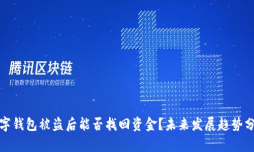数字钱包被盗后能否找回资金？未来发展趋势分析