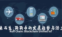 为未来而生：狗狗币的发
