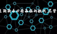   狗狗币KYC：未来发展的趋